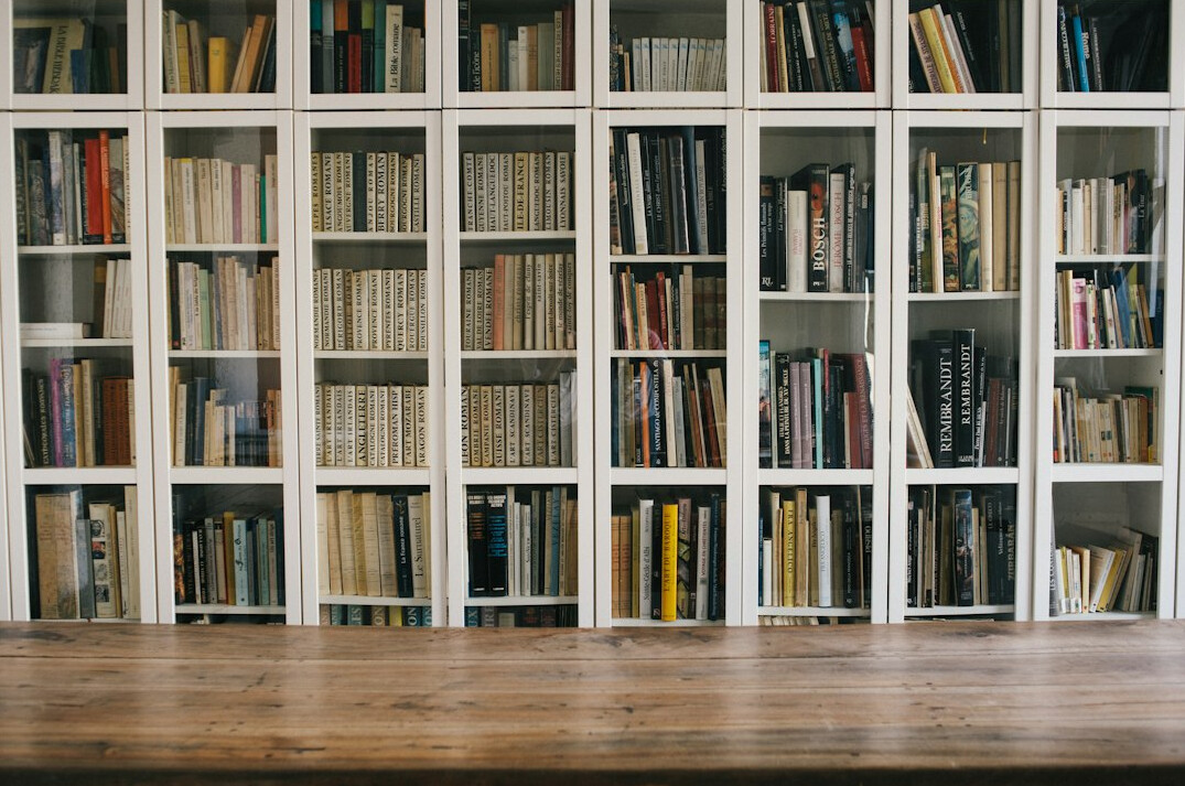 bookshelf with novels